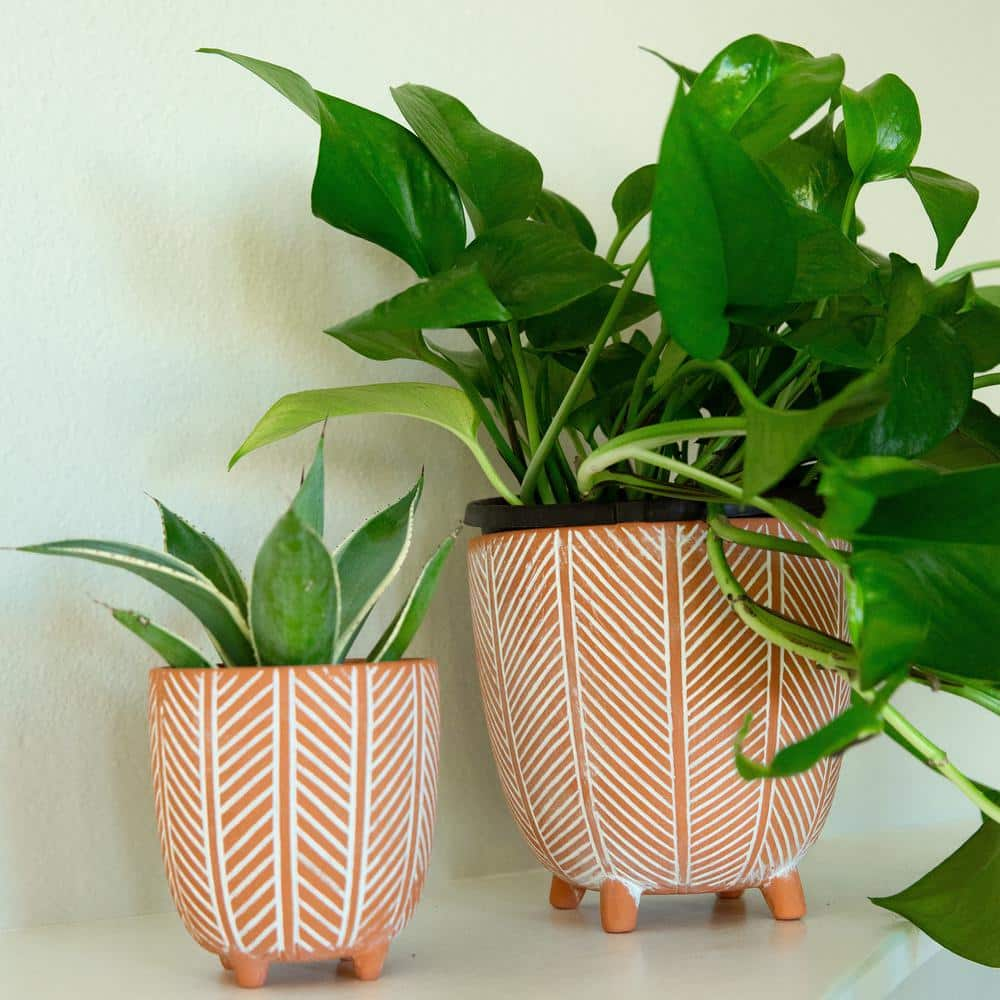 Flora Bunda 6 in. x 4 in. Terracotta Orange Chevron Ceramic Footed Pot (Set of 2) CT837E2-OR