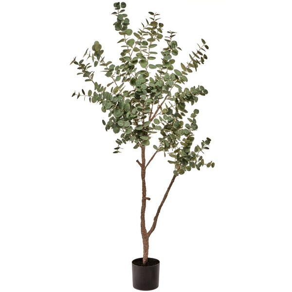 Potted Bendable Eucalyptus Plant 60