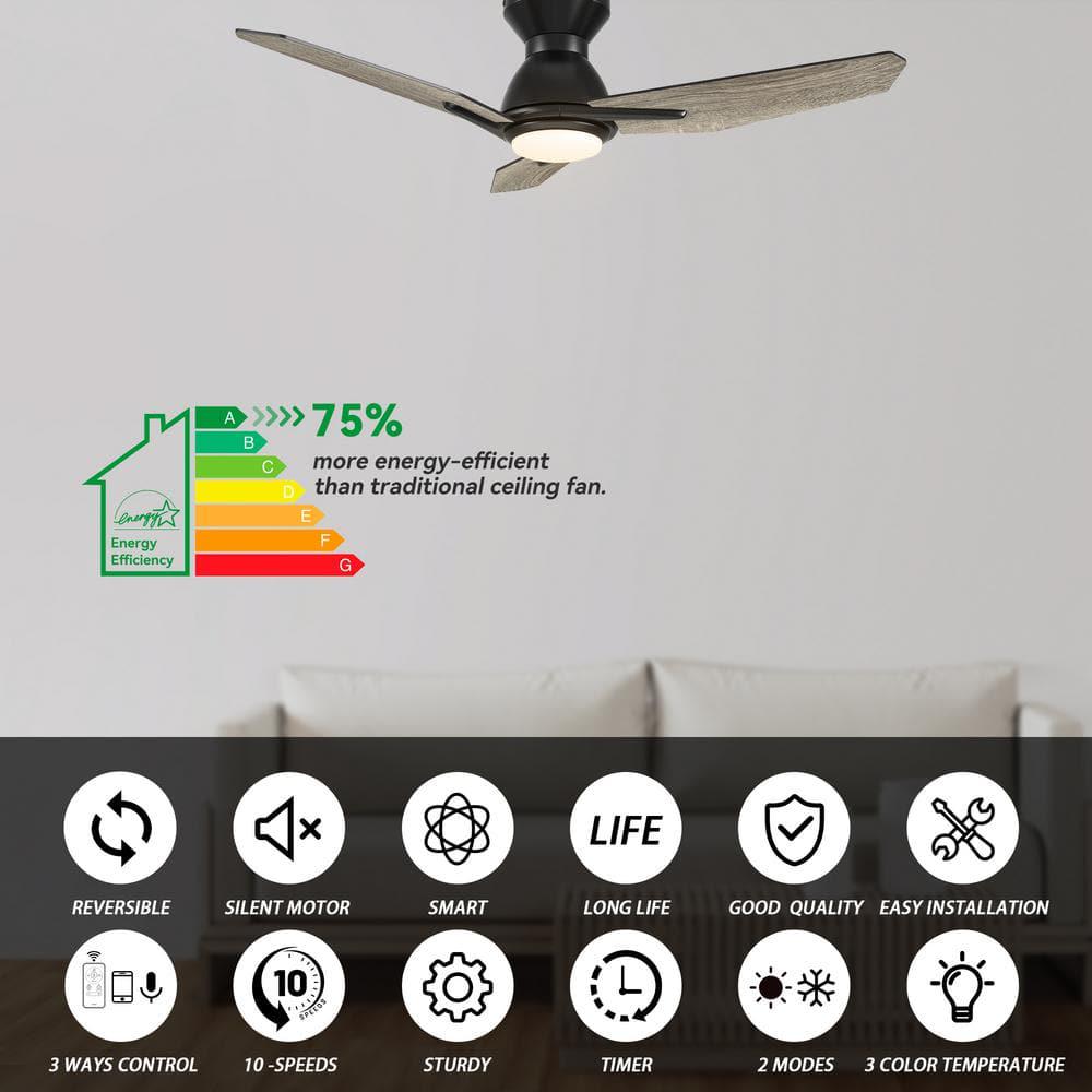 CARRO Tilbury 44 in Integrated LED IndoorOutdoor Black Smart Ceiling Fan with Light and Remote Works with AlexaGoogle Home