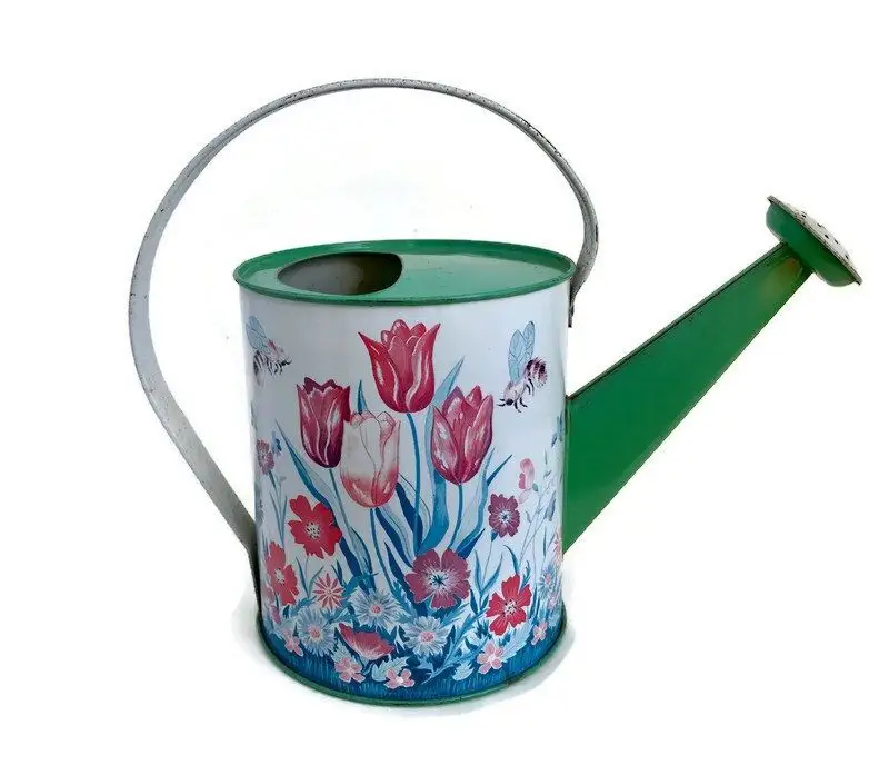 Unique cute Mini Galvanized iron and zinc watering can farmhouse watering can with rope handle available in low prices