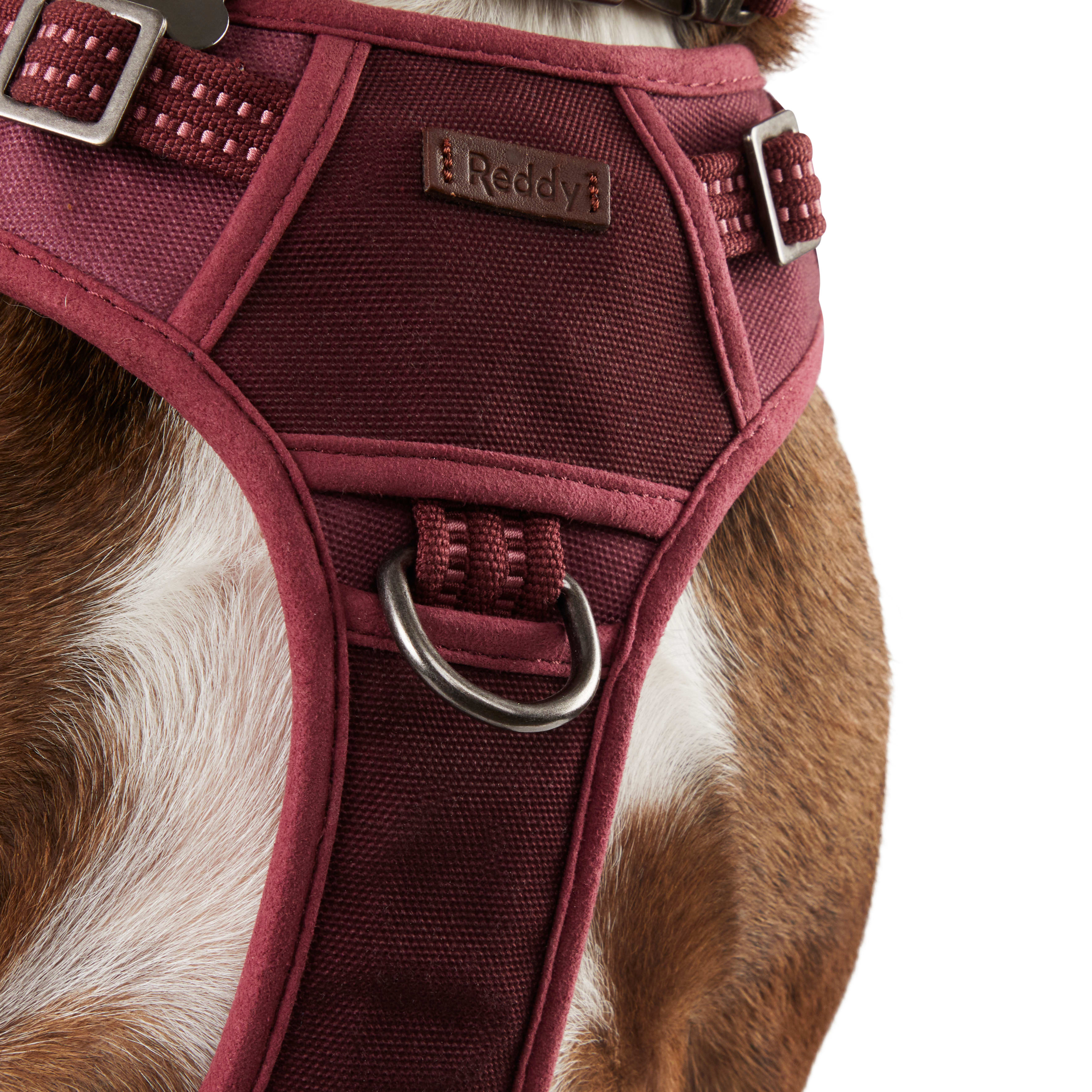 Reddy Burgundy Canvas Dog Harness， Medium