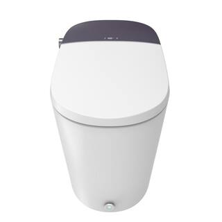 Dyconn Niara 12 in. Rough-In 1-piece 1.051.6 GPF Single Flush Elongated Toilet in White Seat Included DF07TA