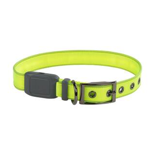 Nite Ize NiteDog - L - LimeGreen Rechargeable LED Collar NDCRL-17-R3