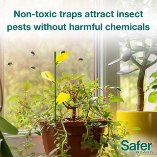 Safer Brand Houseplant Sticky Stakes Insect Traps (7-Count) 5026