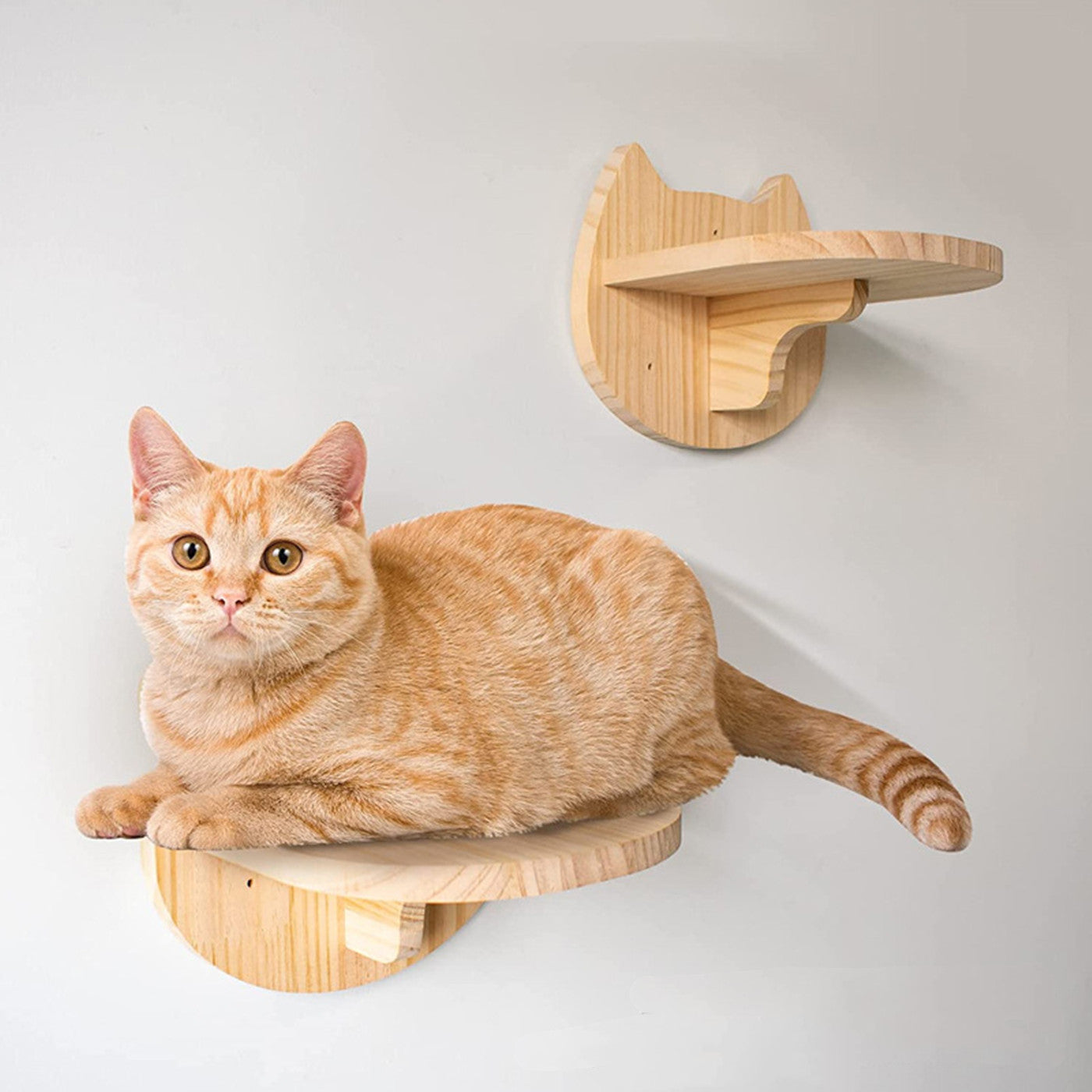 SHENGOCASE 5-Pack Natural Solid Wood Wall Mounted Cat Wall Shelves， Cat Wall Furniture， Cat Wall Steps， Wall Stairs， Wall Perch Bed Hammack