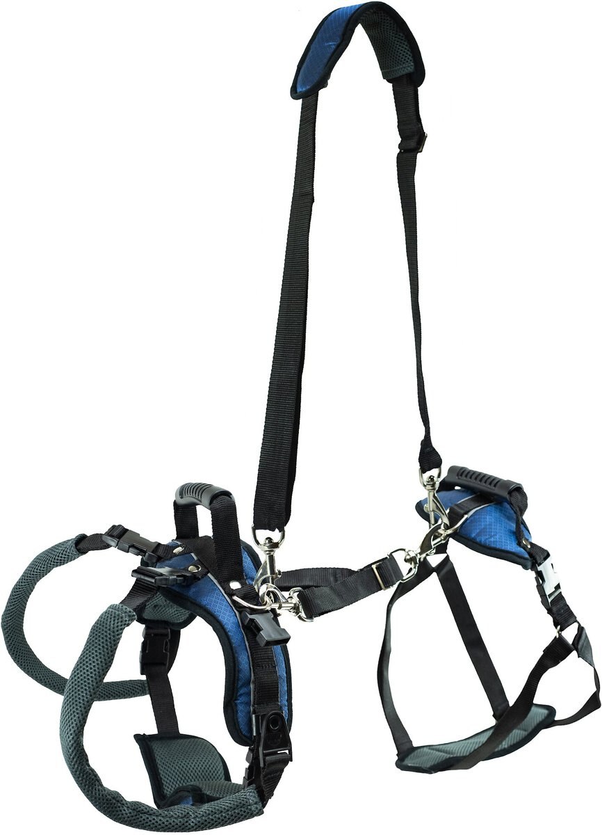 PetSafe CareLift Handicapped Support Dog Harness