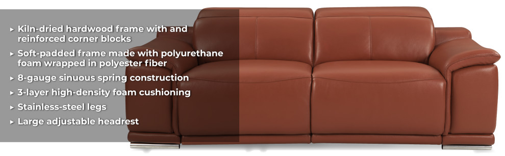 Veneto Italian Leather Power Reclining Loveseat   Contemporary   Loveseats   by Luxuriant Furniture  Houzz