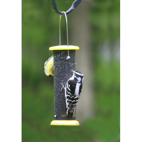 Birds Choice LCNYJER Starter Nyjer Feeder， Magnet Mesh Tube Feeder w/ Removable Bottom， 2 Cup， Yellow