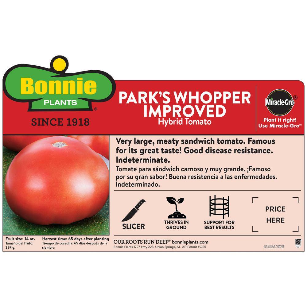 Bonnie Plants 1.19 qt. Parks Whopper Tomato Plant (6-Pack) 0206