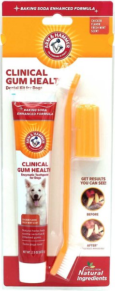 Arm and Hammer Clinical Gum Health Chicken Flavored Dog Dental Kit