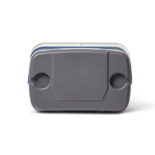 Igloo Latitude 30 Cooler