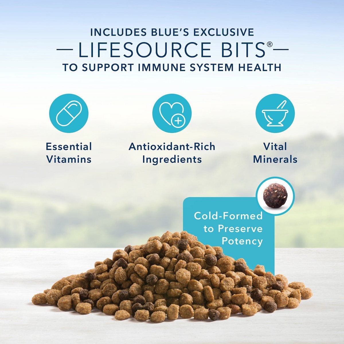 Blue Buffalo Life Protection Formula Small Bite Adult Chicken and Brown Rice Recipe Dry Dog Food