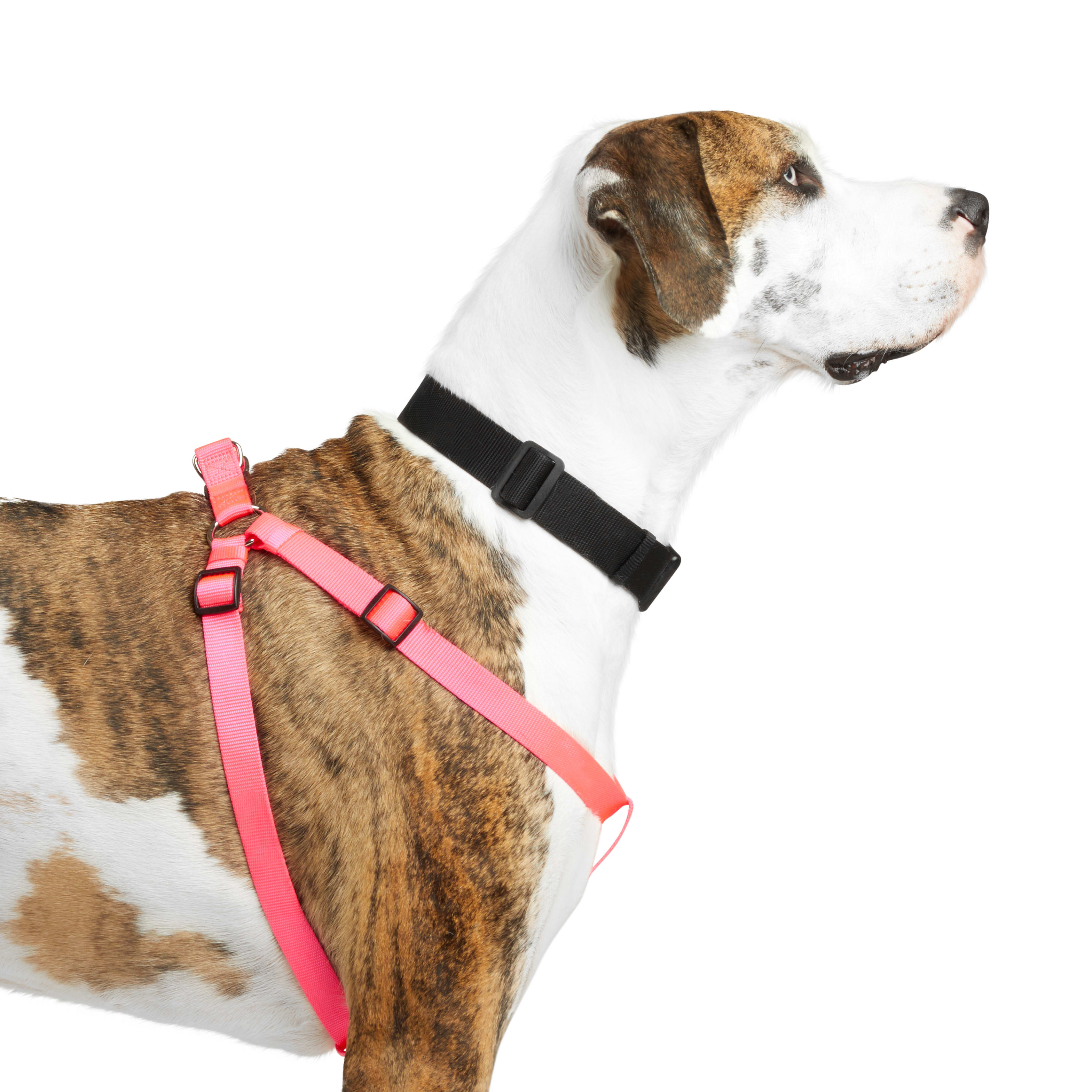 YOULY WEBB Pink Dog Harness， Small