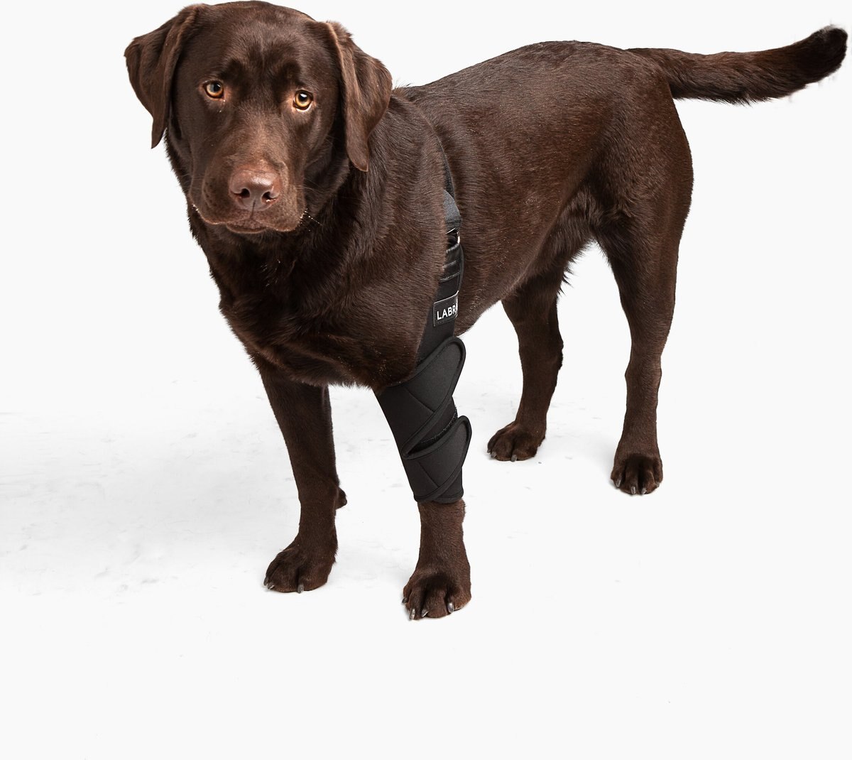 Labra Canine Shoulder Elbow Brace Left Leg Dog Wrap