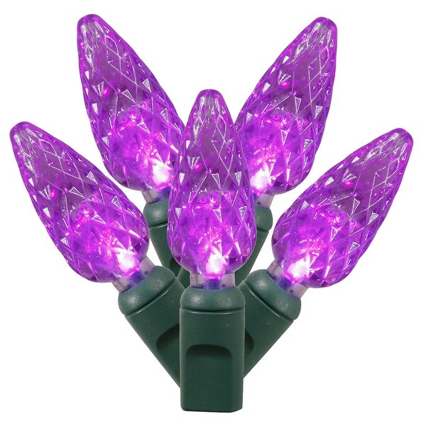 Vickerman 200 Purple C6 LED Light on Green Wire，100' Christmas Single Mold Light Strand