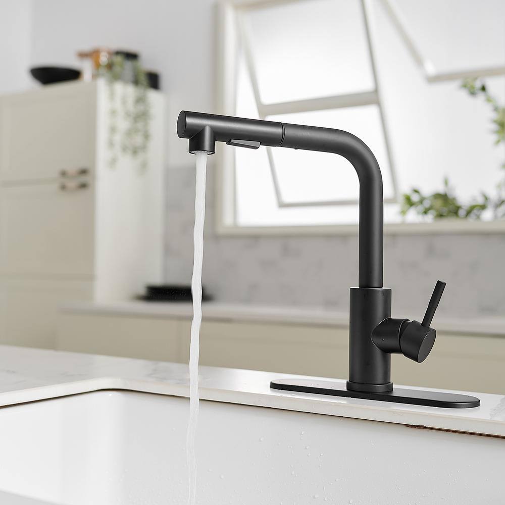 BWE 2 Sprayer Single Hole Single-Handle Pull Out Kitchen Faucet in Matte Black A-94020-Black