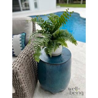 NATURE'S?WAY FARMS Fern Macho Live Outdoor Plant in Growers Pot Avg Shipping Height 2 ft. to 3 ft. Tall 5316
