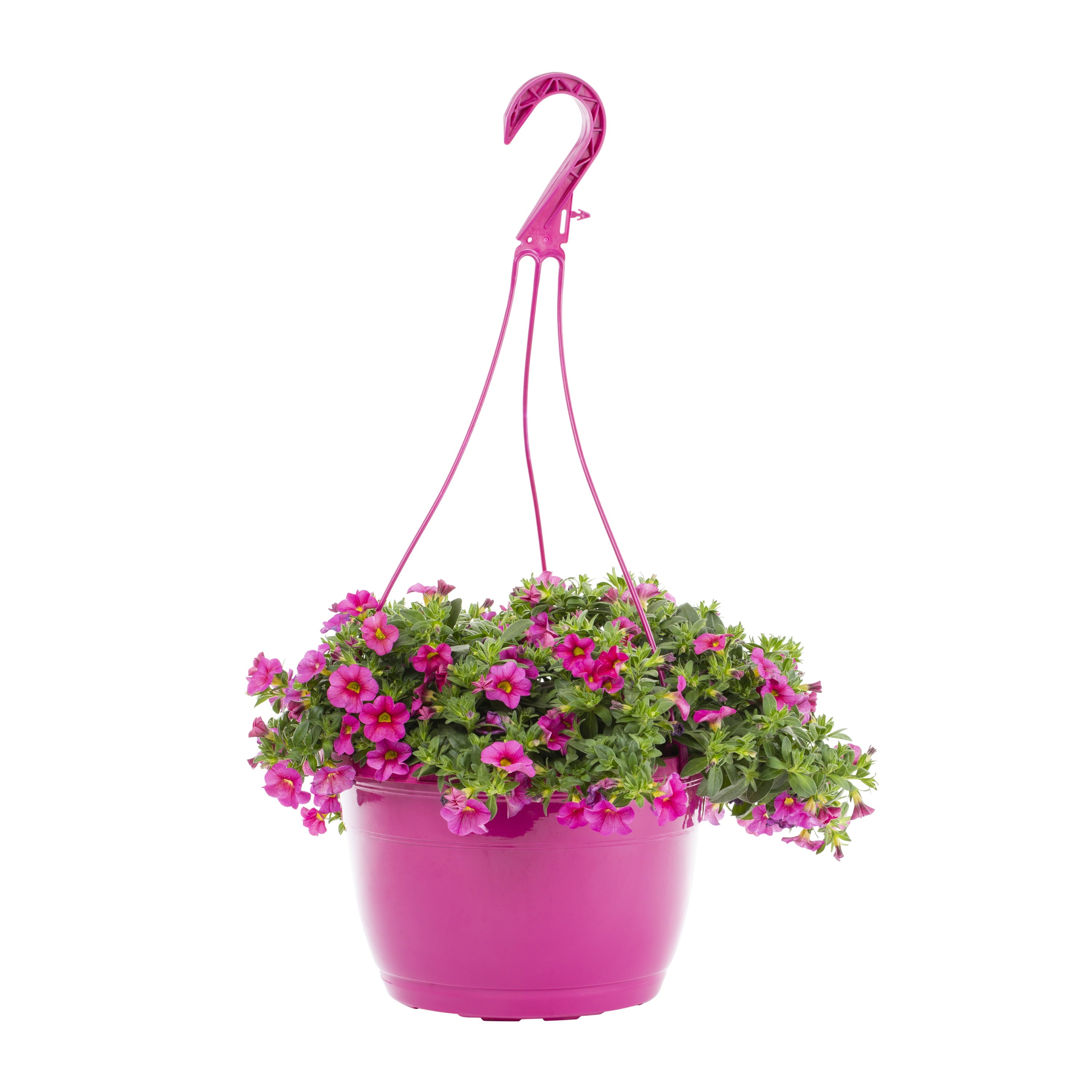 Expert Gardener 1.5 Gallon Pink Calibrachoa Annual Live Plant 1-Count with Hanging Basket