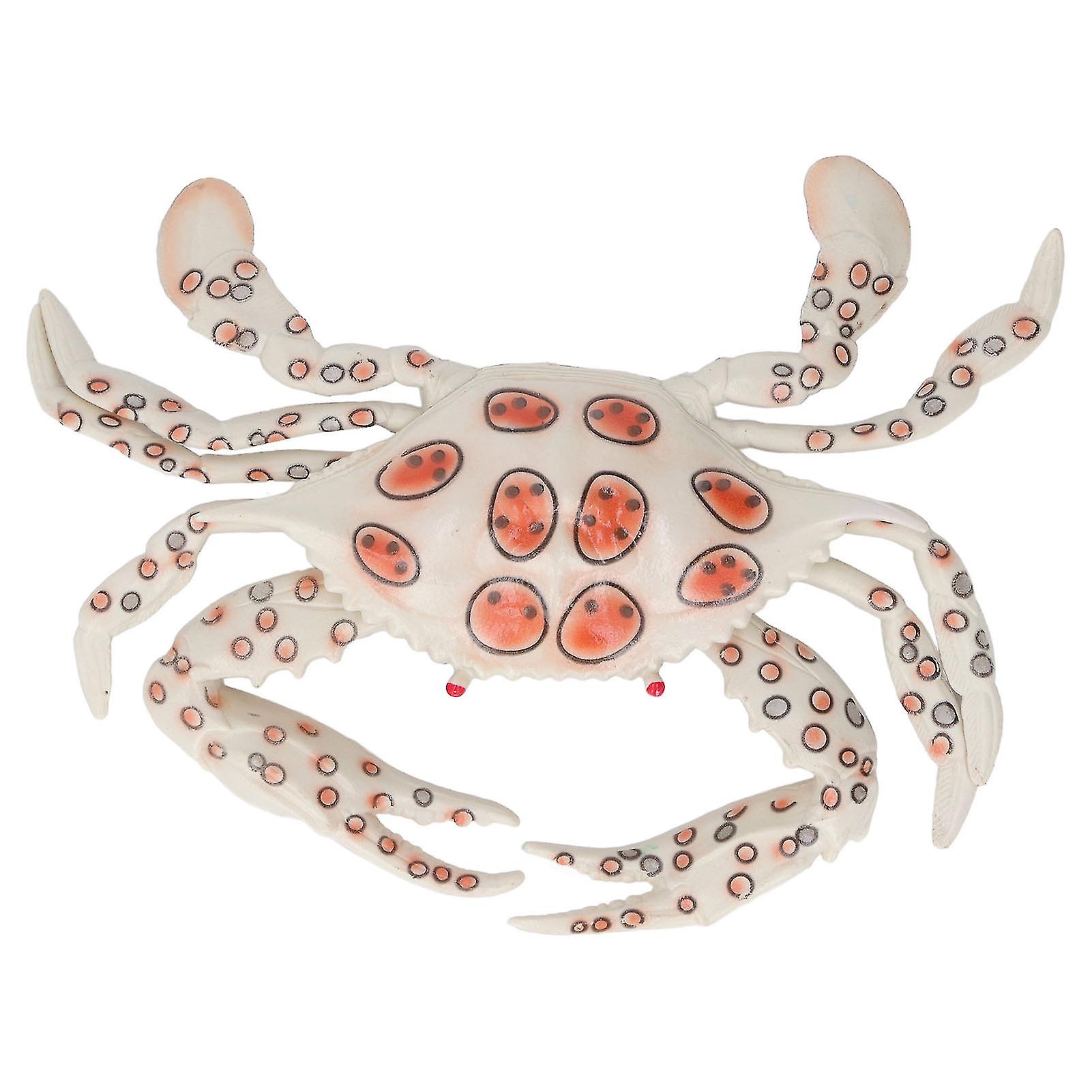 Crab Toy Educational Interesting Plastic Safe Vivid Shape Marine Biological Cognition Teaching Ornaments for Kids