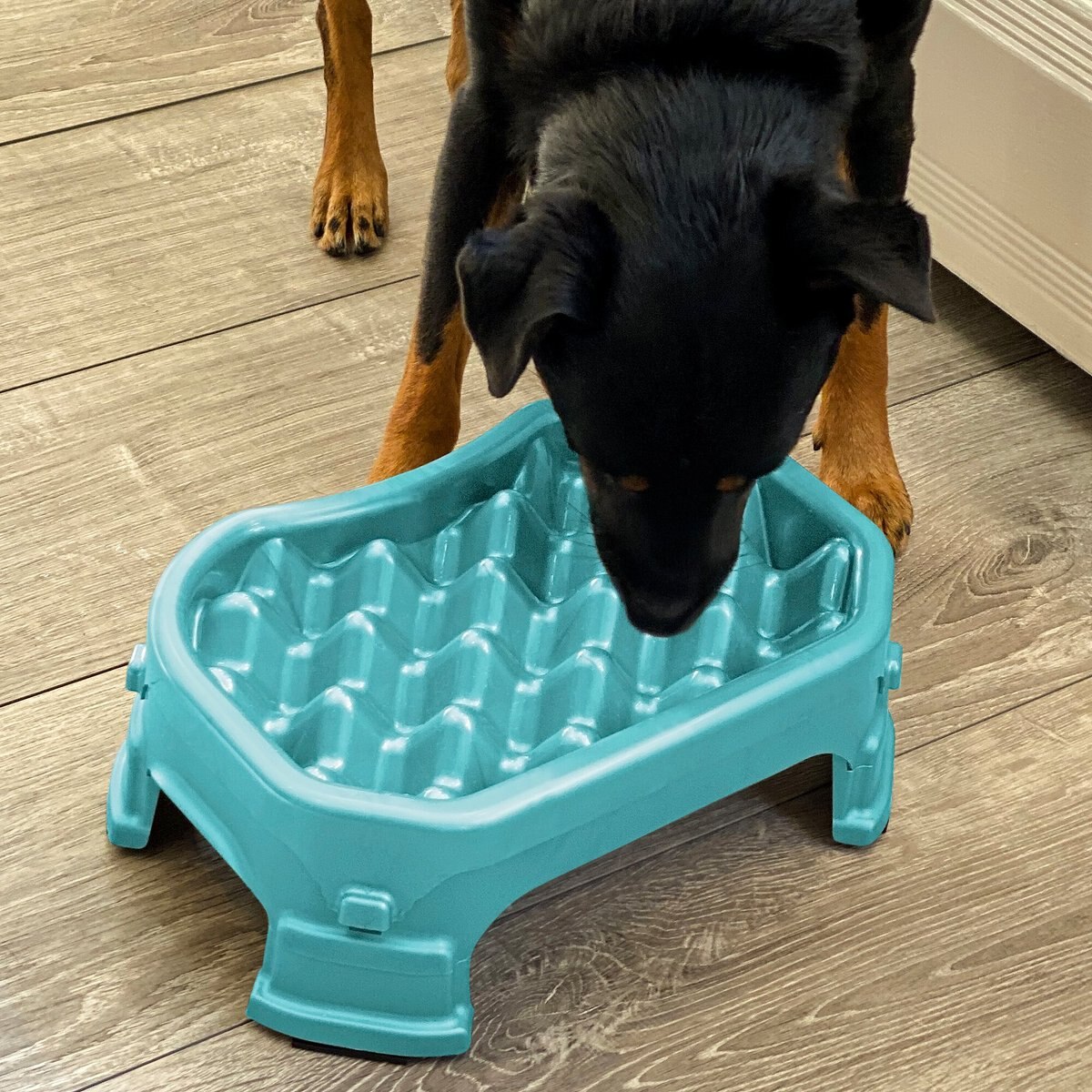 Neater Pets Adjustable Non-Skid Plastic Slow Feeder Dog and Cat Bowl