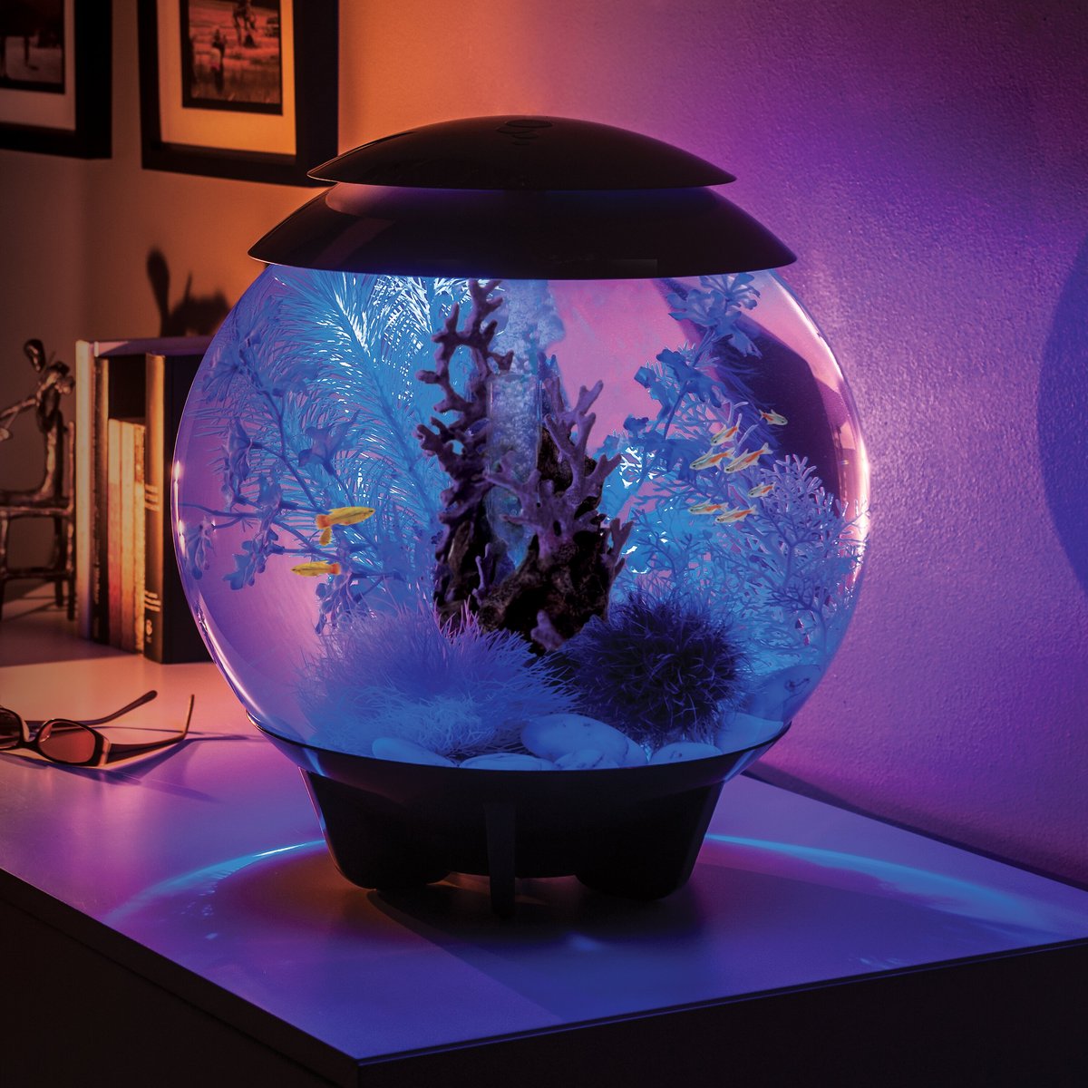 biOrb Reef Aquarium Ornament