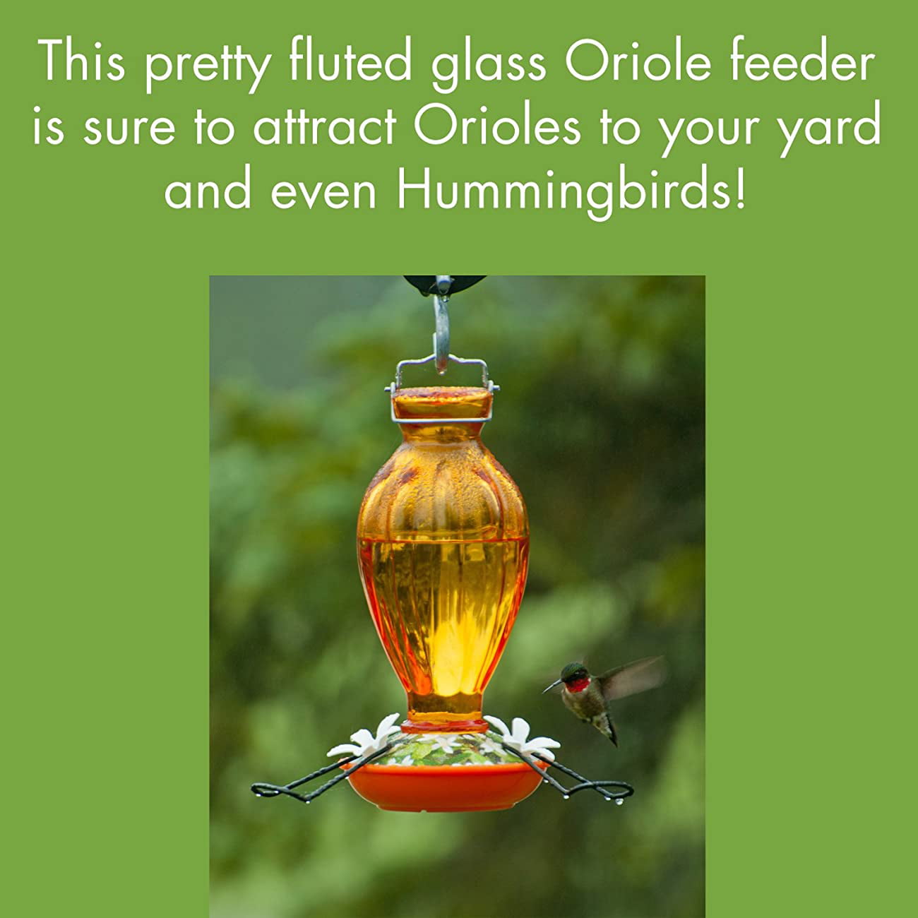 Audubon by Woodink NAO9 Fluted Glass Oriole Feeder