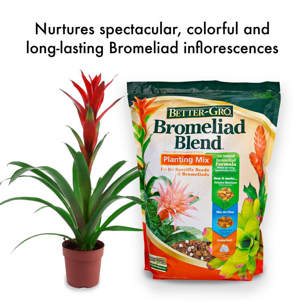 Better-Gro 8 qt. Bromeliad Blend Potting Mix Twin Pack 50081