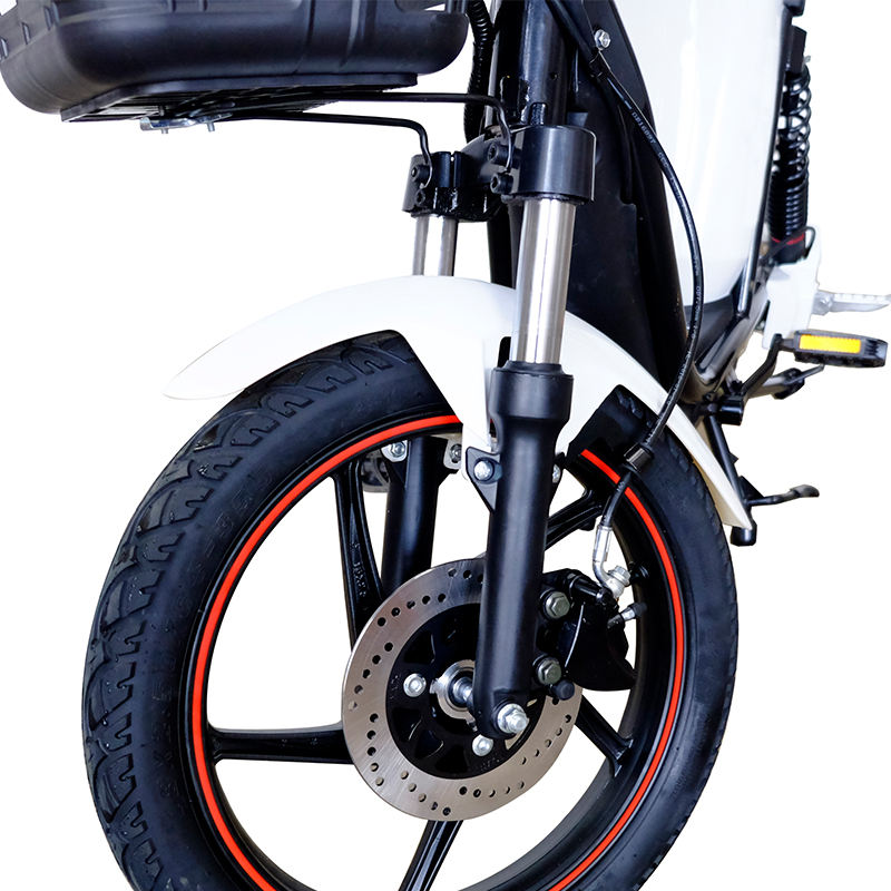 bike electric pakistani rupees price bikes max speed 25 kmh electric bike for viet nam