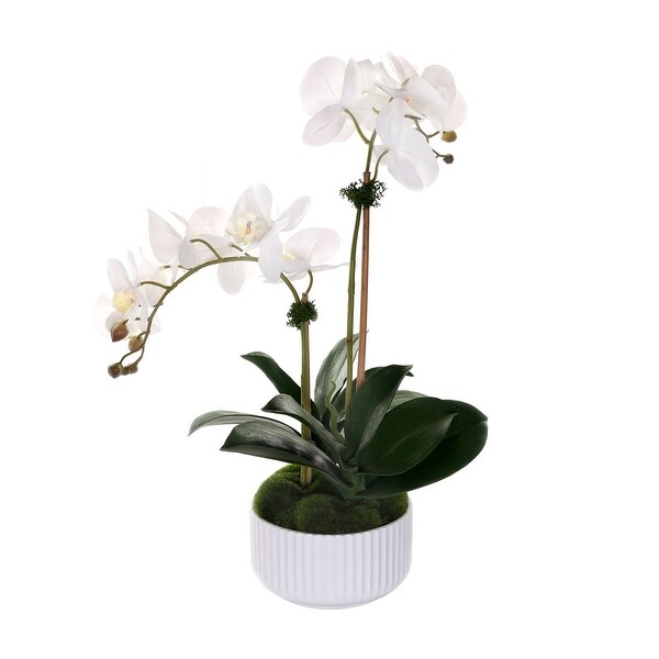 Real Touch Phalaenopsis Orchids in White Ribbed Pot