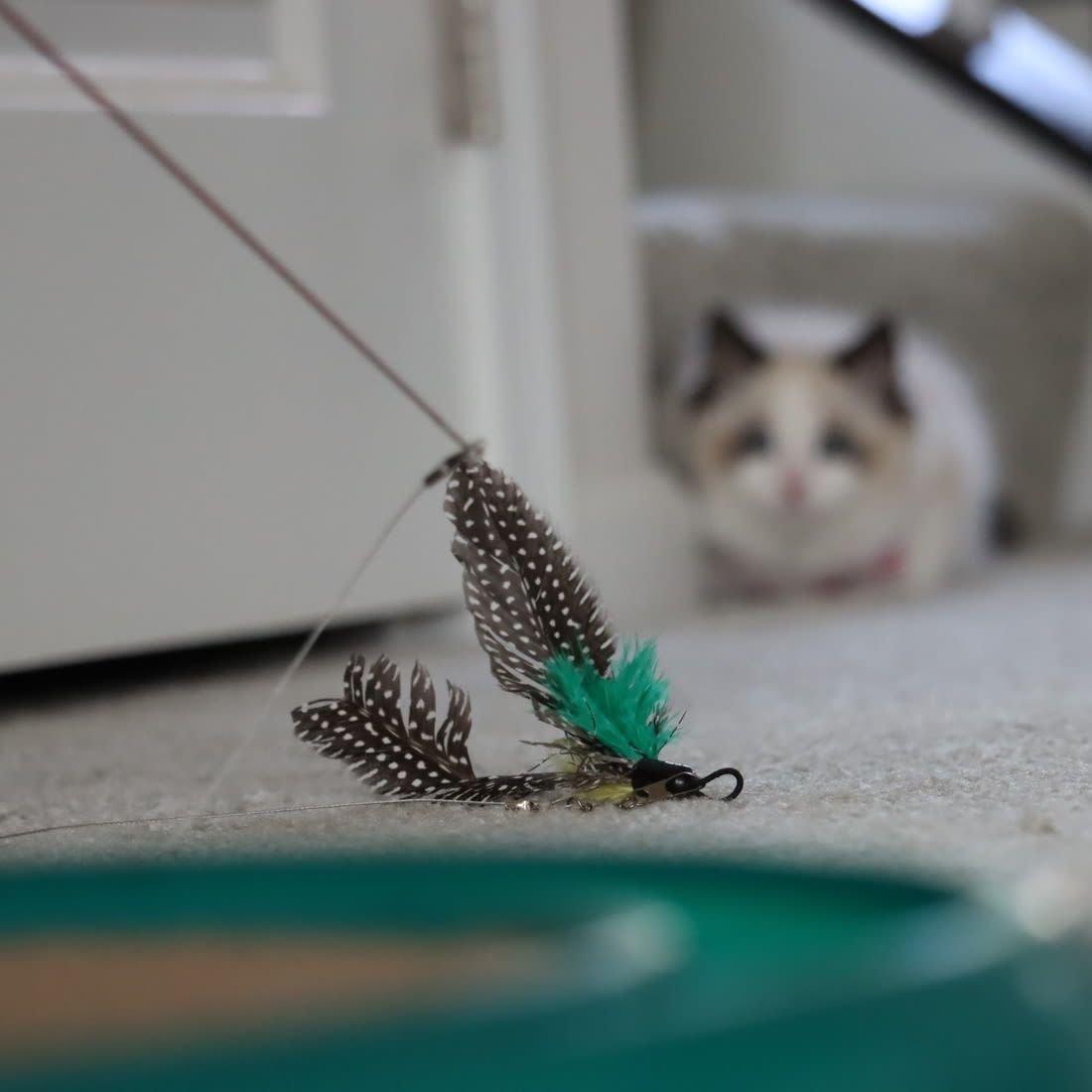 Turbo Flying Teaser Cat Toy