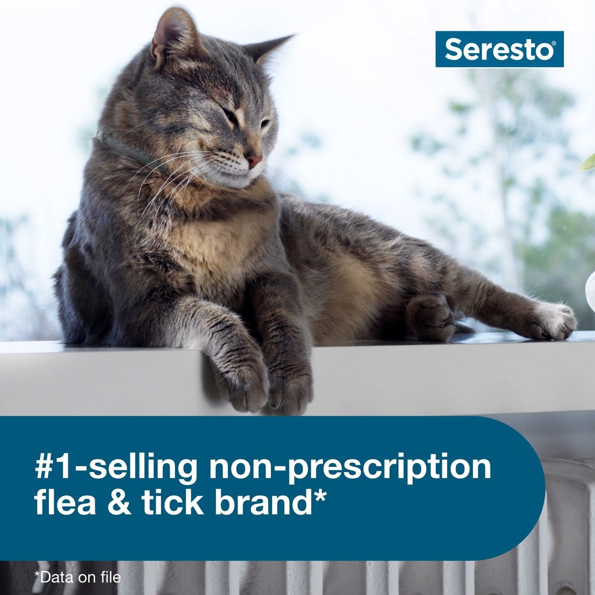 Seresto Flea and Tick Collar for Cats