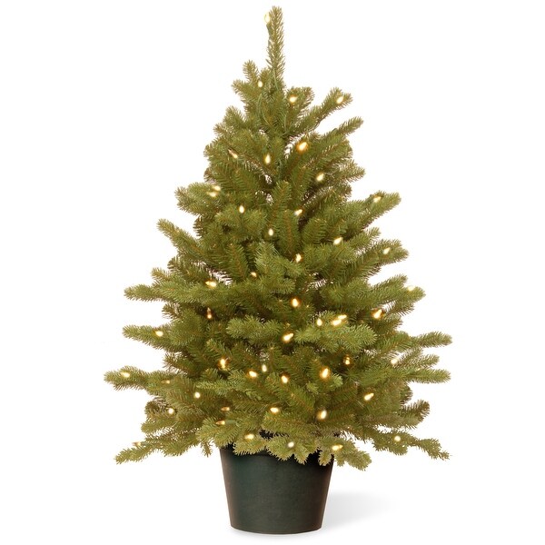 National Tree Company 3 ft. Hampton Spruce Green Holiday Tree with Clear LED Lights