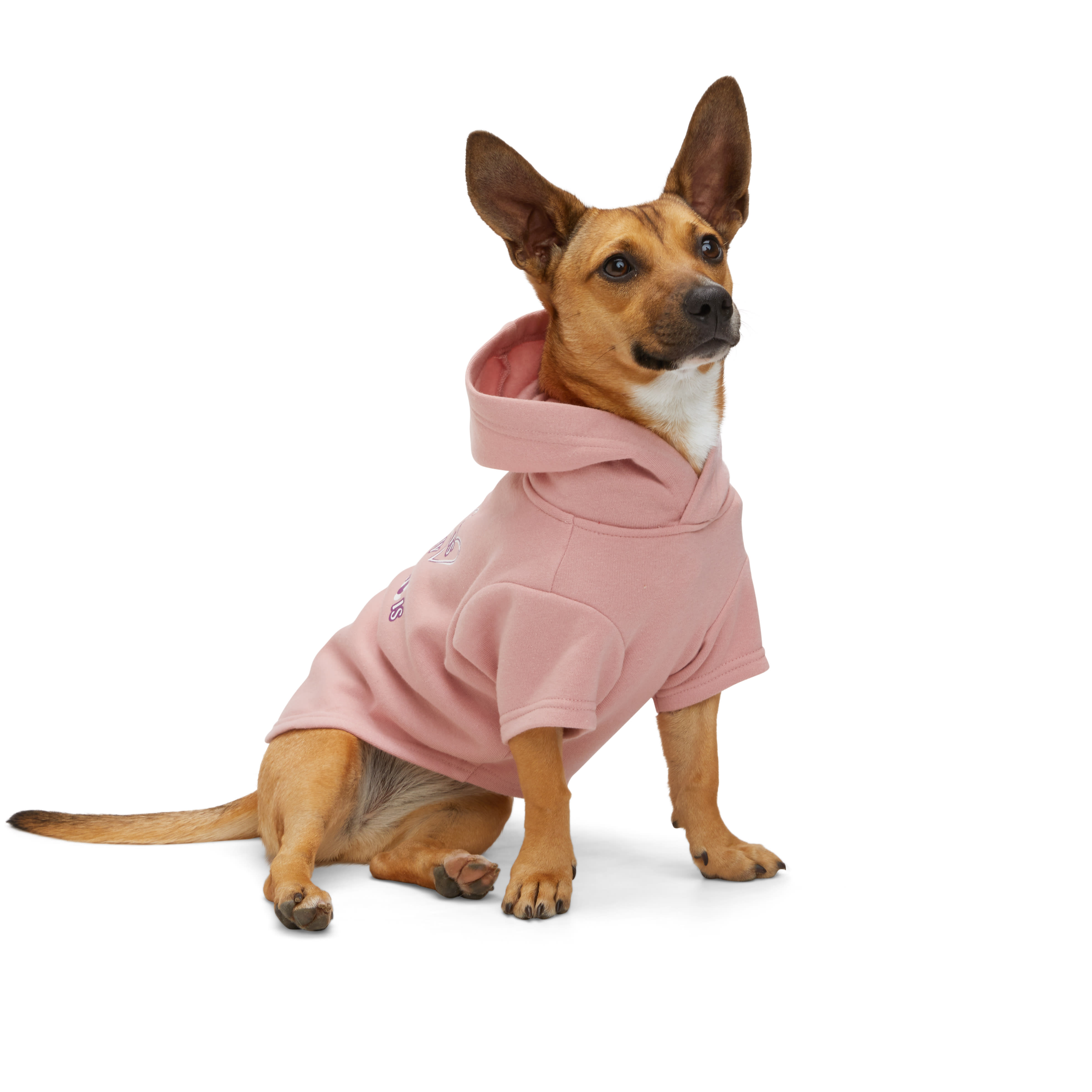 YOULY Home Dog Hoodie， XX-Small