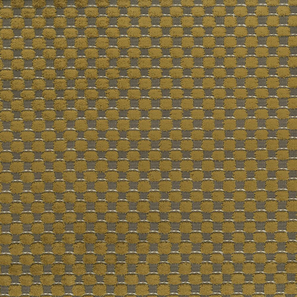 Viviana Alisa Gold Fabric