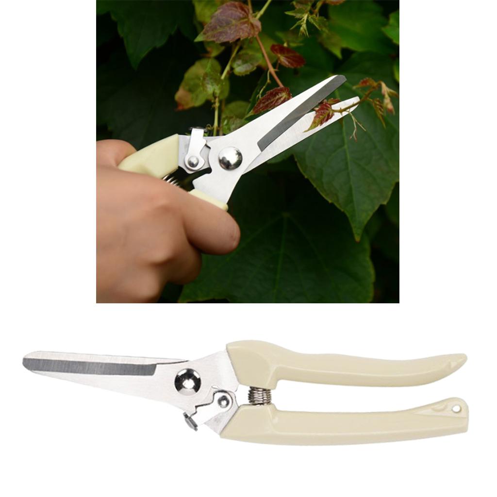 Bonsai Pruning Branch Secateur with Anti-slip Handle Cutting Hand Tools