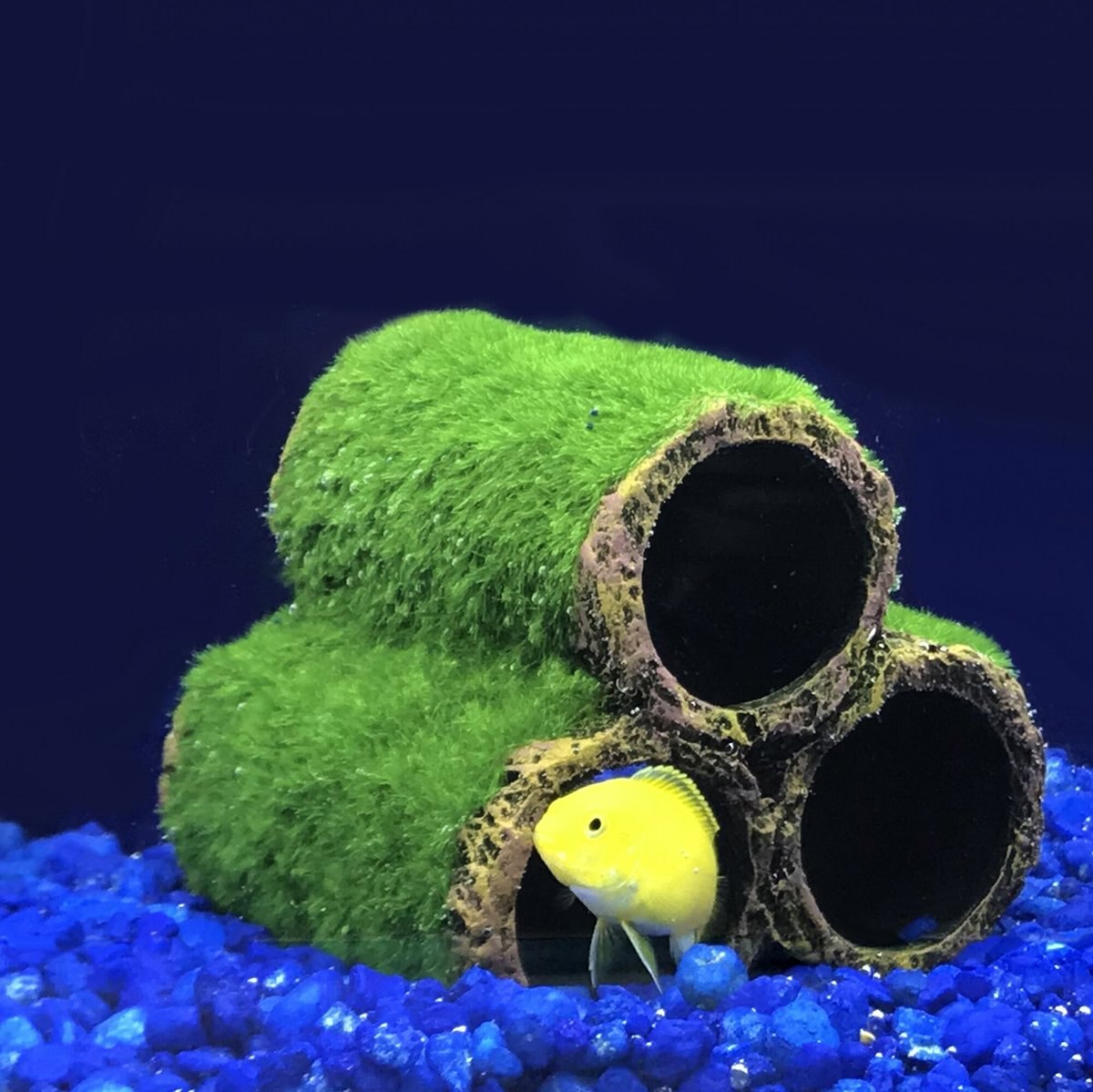 Penn-Plax Hideaway Pipes Aquarium Ornament