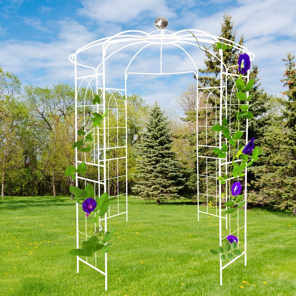 JASIWAY Iron Birdcage Shape Garden Arbors Gazebo  White