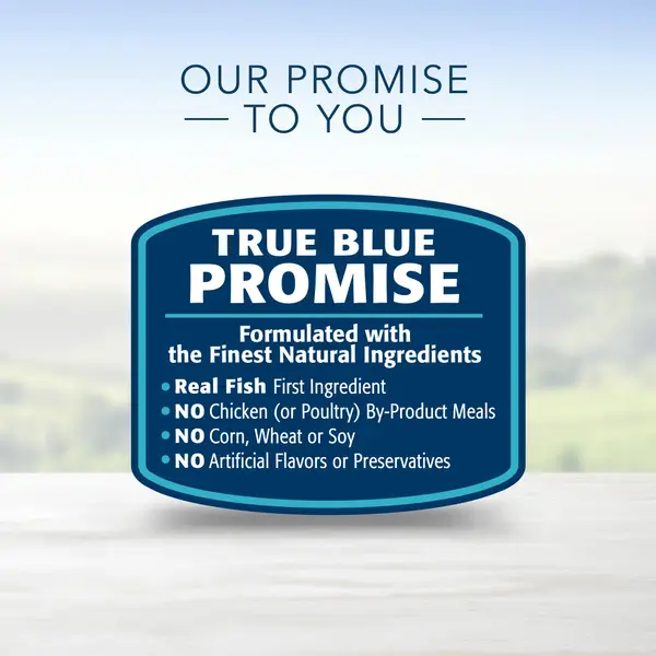 Blue Buffalo Life Protection 12.5 oz Fish and Sweet Potato Recipe Natural Adult Wet Dog Food