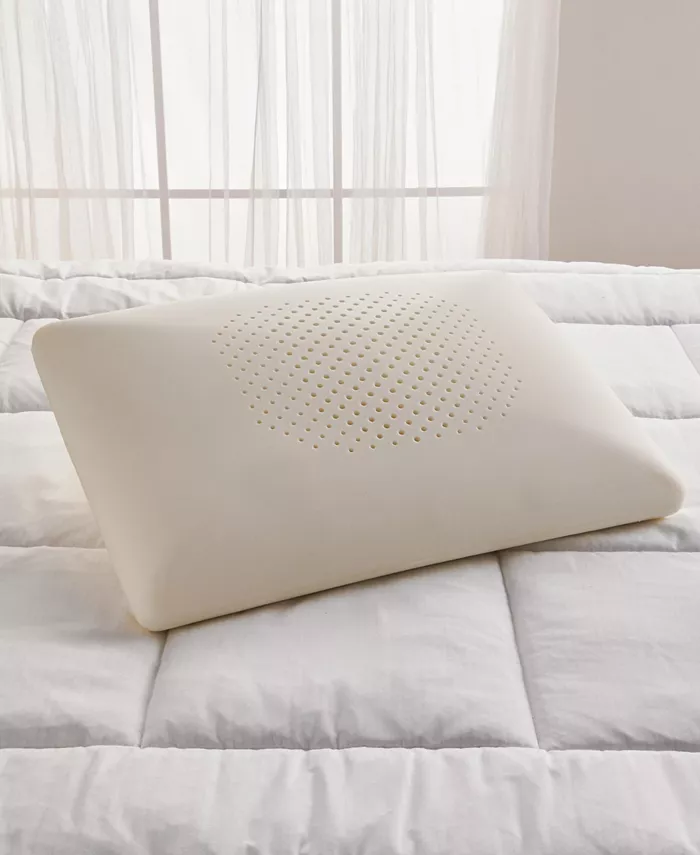 IsoCool Serene Foam Traditional Pillow， Standard Queen