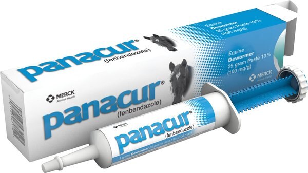 Panacur Equine Paste 10% Horse Dewormer， 25g