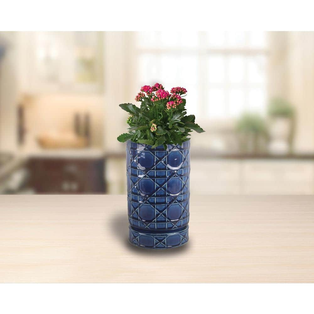 Trendspot 6 in. Dia Cobalt Blue Carlysle Cylinder Ceramic Planter CR00671S-060M