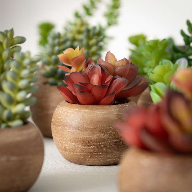 4.5h Sullivans Mini Potted Succulent Set Of 12， Multicolored