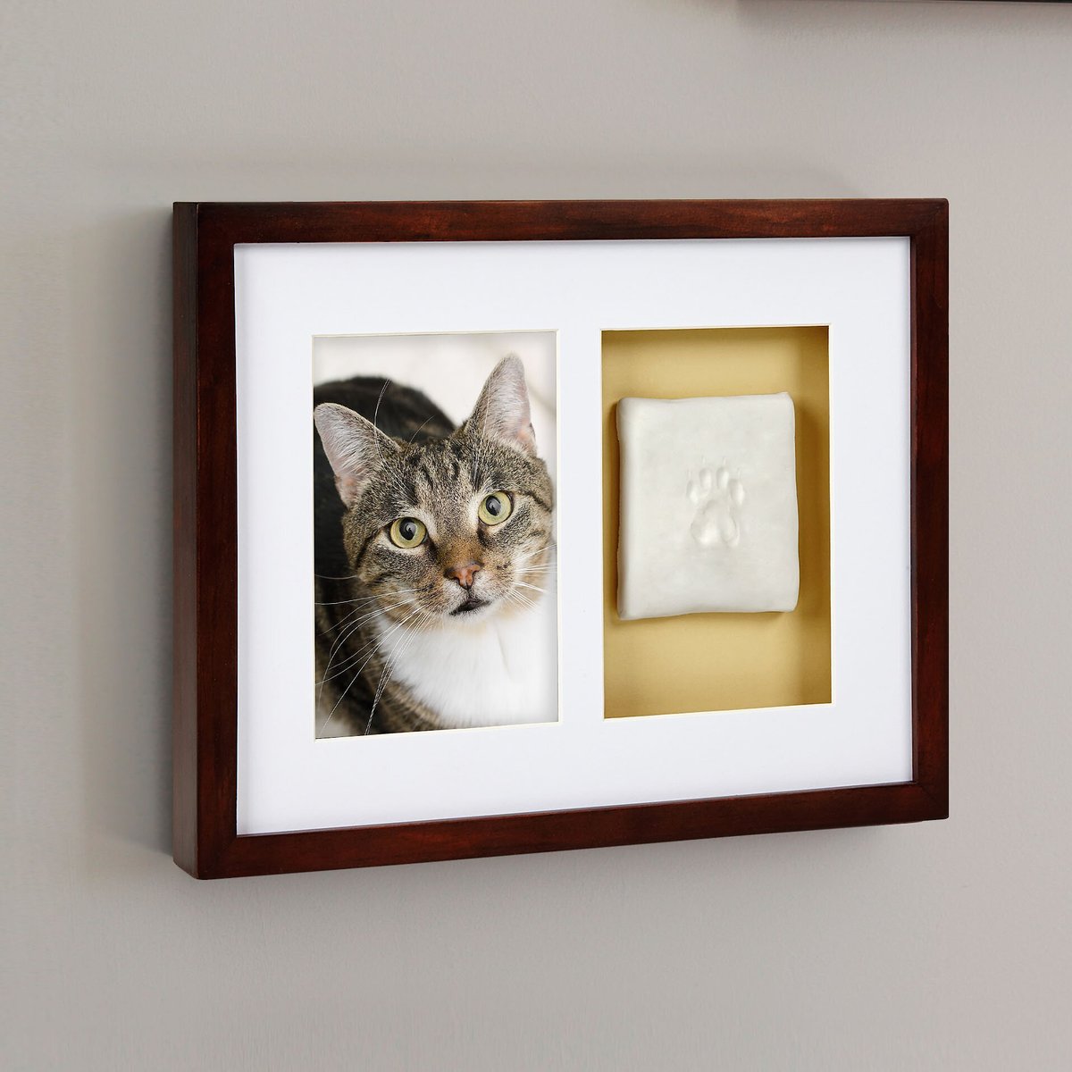 Pearhead Pawprints Dog and Cat Wall Frame and Impression Kit