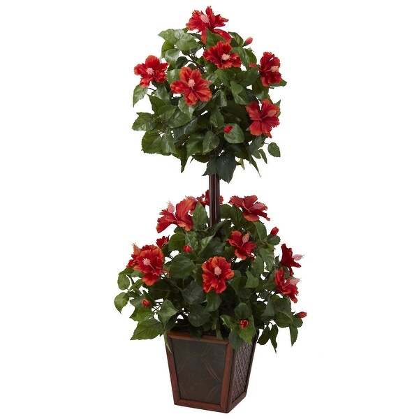 39 Hibiscus Topiary