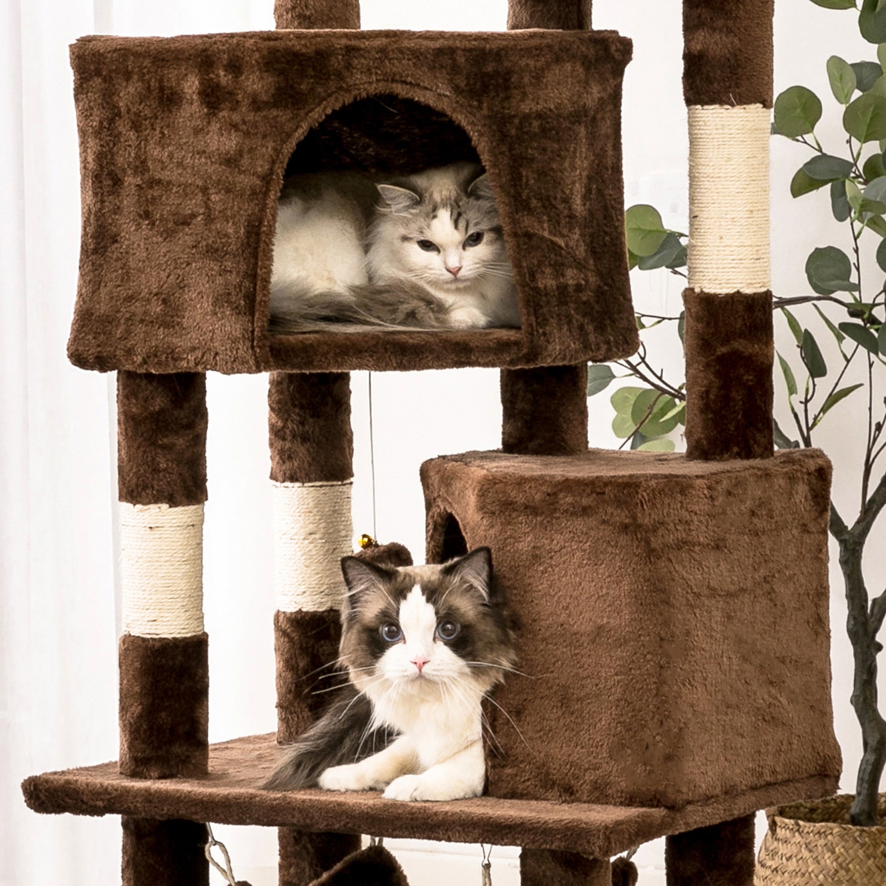 Quuzee 51.6-in Cat Tree Tower with Double Condo,Scratching Post Hammock, Brown