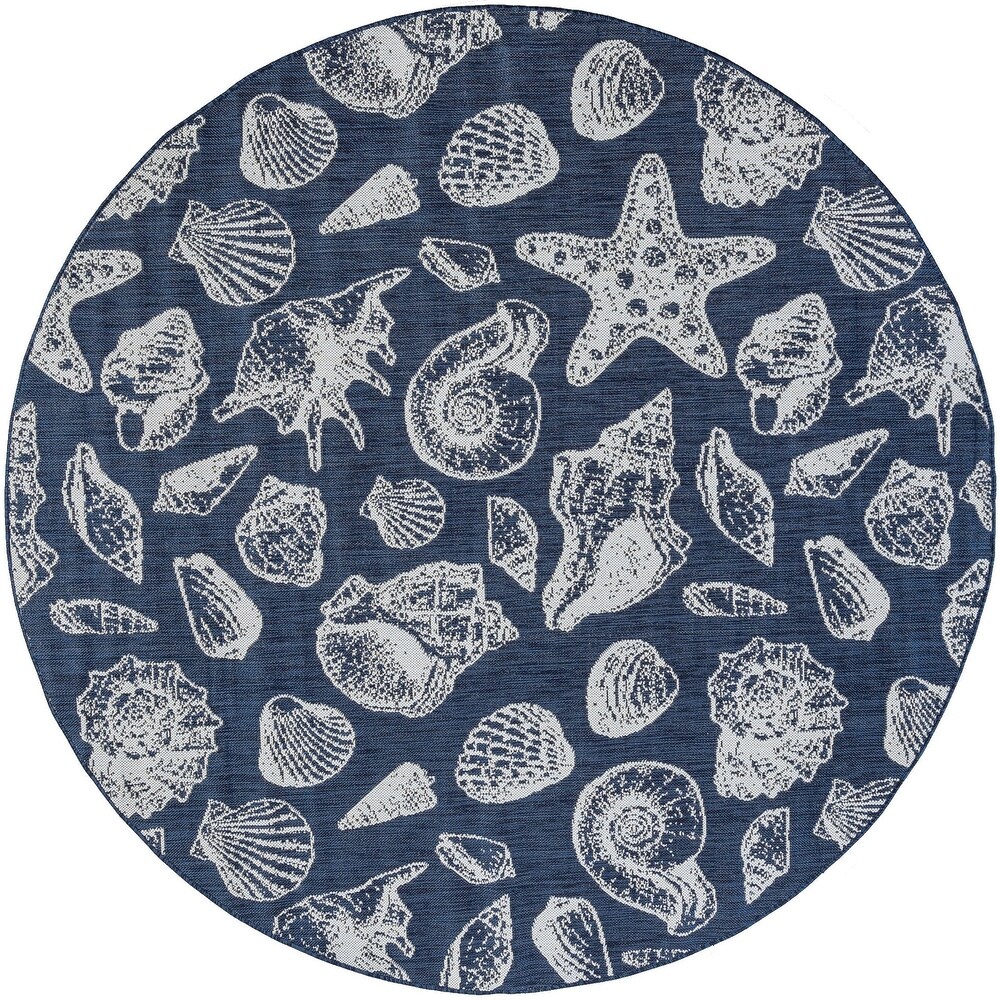 Exo Coastal Graphic Print Indoor/Outdoor Area Rug