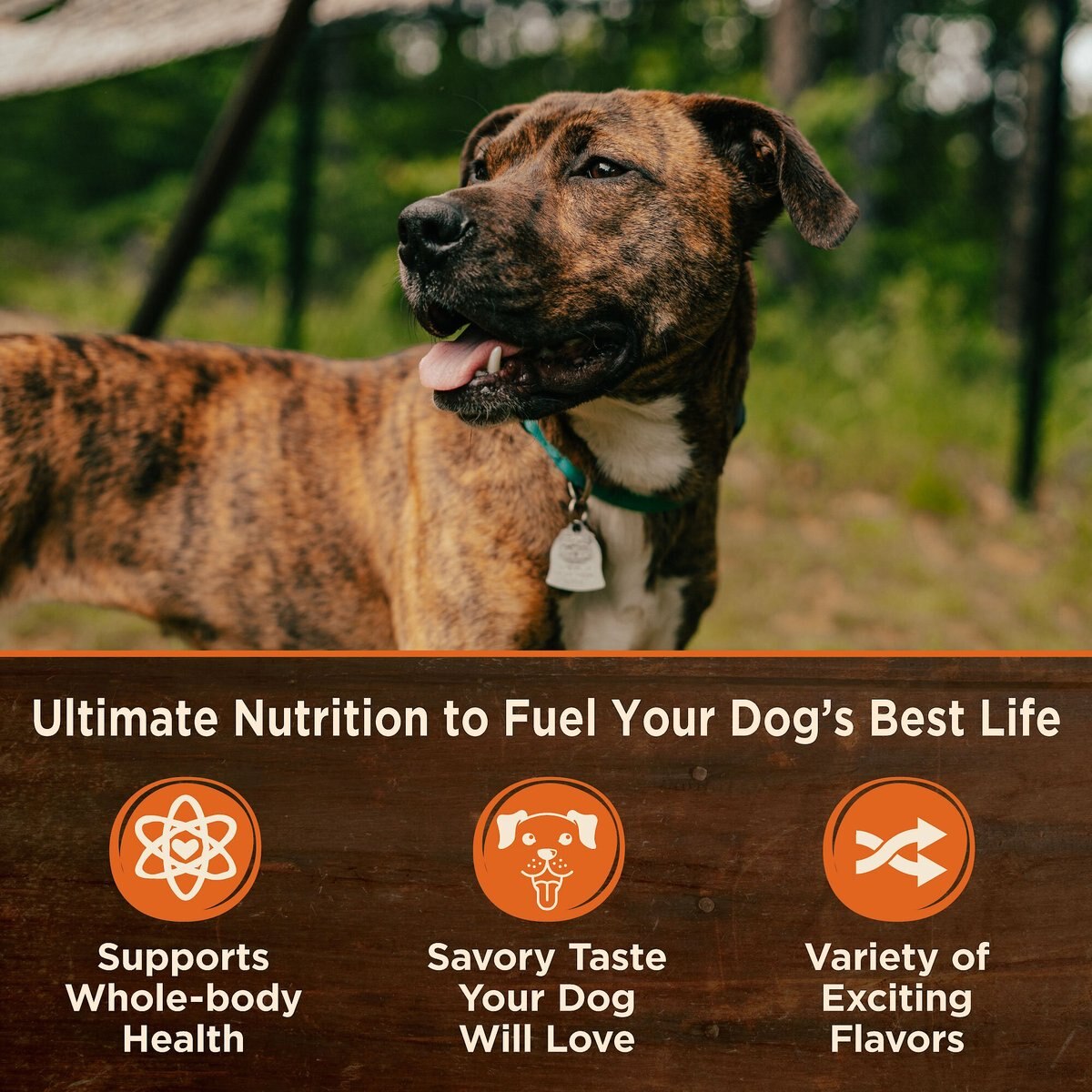 Wellness CORE Grain-Free Turkey， Pork Liver and Duck Formula Canned Dog Food