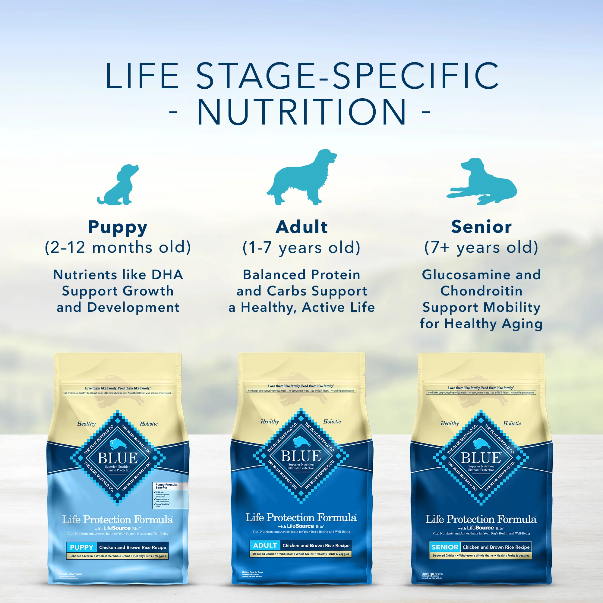 Blue Buffalo Life Protection Formula Chicken and Brown Rice Dry Dog Food for Senior Dogs Whole Grain 15 lb. Bag