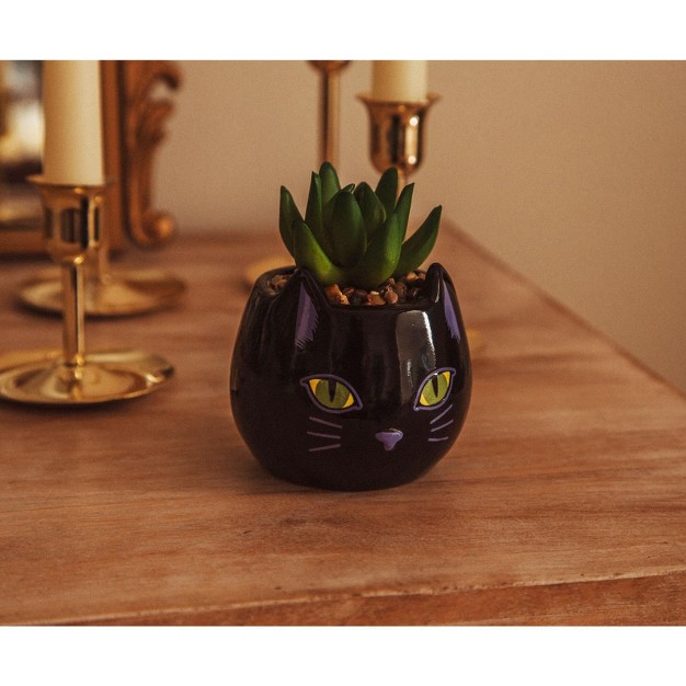 Ceramic Planter With Artificial Succulent