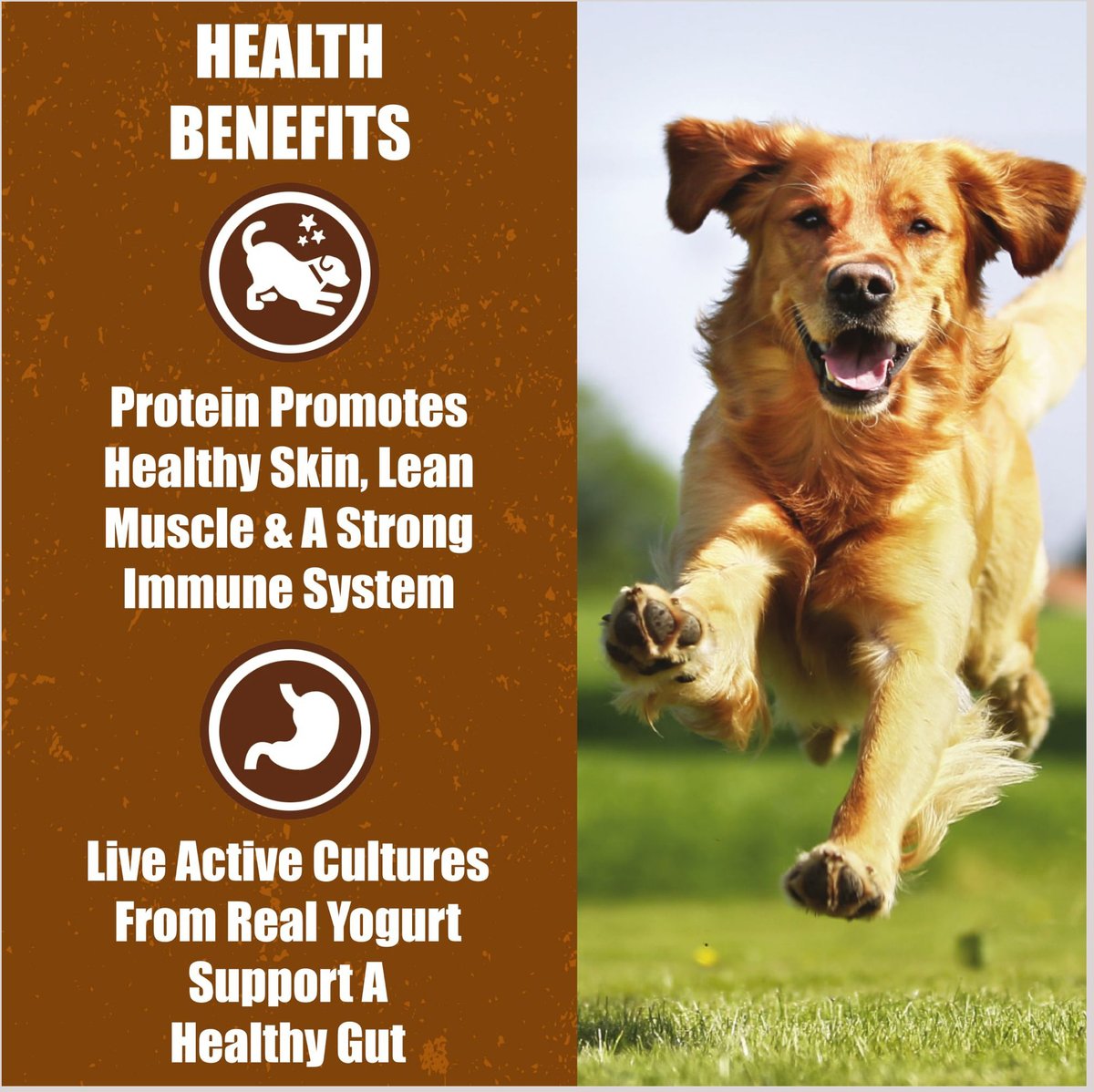 Whole Life Living Treats Peanut Butter Flavor Freeze-Dried Dog Treats